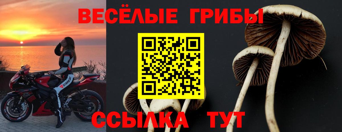 Карасук  Галлюциногенные грибы ЛСД  Вход с VPN 